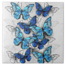 Recherche de papillon blanc carreaux Bleu