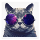 Recherche de chat hippie posters Chaton