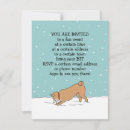 Recherche de shiba invitations Chien