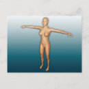 Suche nach menschlicher arm poster postkarten Anatomie