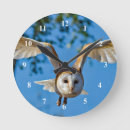 Recherche de raptor horloges Hibou
