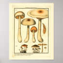 Suche nach sorten poster Vintag