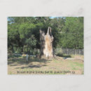 Recherche de tronc cartes postales Paysage