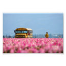 Recherche de autobus scolaire posters Jaune