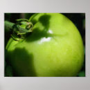 Suche nach tomato poster Gemüse
