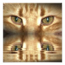 Suche nach katzenaugen poster Tiere