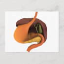 Recherche de digestif cartes postales Détail