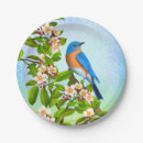 Recherche de oiseau bleu oriental Birding