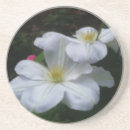 Suche nach clematis untersetzer Blume