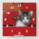 Suche nach tierthemen wanduhren Hauskatze