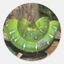 Recherche de arbres verts autocollants Nature