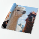 Recherche de pérou papier cadeau Llama