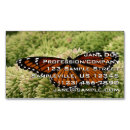 Recherche de papillon orange cartes visite Photographie