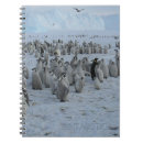 Suche nach pinguin kleine notizbücher Vögel
