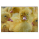 Suche nach ente schneidebrettchen Tiere