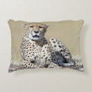 Suche nach gepard dekokissen Katze