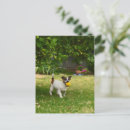 Recherche de jouer cartes cartes postales Dog