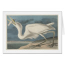 Recherche de plumage cartes postales Américain