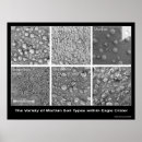 Recherche de martien posters Système solaire