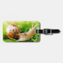 Suche nach schnecken gepäckanhänger Natur