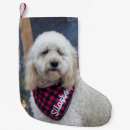 Recherche de caniche chaussette de noël Chien