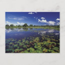 Suche nach wasserstraßen poster Umwelt