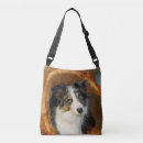 Recherche de chien de border collie sacs Colley