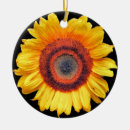 Suche nach sonnenblumen ornamente Natur
