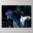 Suche nach backlit poster Kopfschuss