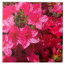 Suche nach azalee fliesen Rosa
