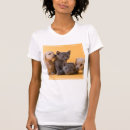 Suche nach dacshund Katze