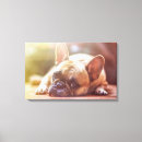 Suche nach französische bulldogge leinwandbilder Hund