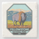 Recherche de bison dessous de verres Parc national de yellowstone