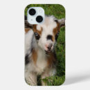 Recherche de kids coques Animal