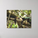 Suche nach zwei affen poster Natur