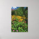 Suche nach natur fotos leinwandbilder Smithsonian