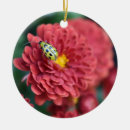 Suche nach fehler ornamente Blume