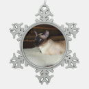 Recherche de de chat siamois ornements Yeux bleus