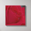 Suche nach rote rosen leinwandbilder Zuhause