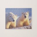Suche nach globale erwärmung puzzle Alaska