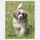 Recherche de chien de bernard maison deco Pour tous