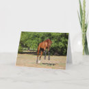 Suche nach leaping karten Tier