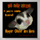 Suche nach glider poster Zucker
