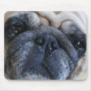 Suche nach toller mousepads Hund