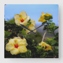 Suche nach maui wanduhren Hibiskus