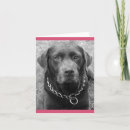 Suche nach schokolade labrador retriever karten Welpe