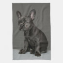 Suche nach french bulldog geschirr tücher Niedlich