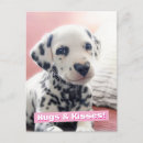 Recherche de nez invitations Animal mignon