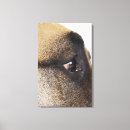 Suche nach doggen poster Tierkörperteil