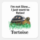 Suche nach glückliche schildkröte aufkleber Lustig